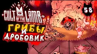 Cult of the Lamb - В поисках Грибо | Культ Ягнёнка | Серия 58