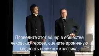 Чайка   