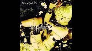 Blam Honey - Enlarge Disorder
