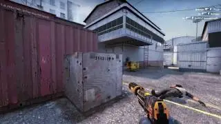 CS:GO Usp ace small edit