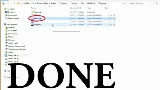 Trapcode plugins (Particular) not appearing ..Solve
