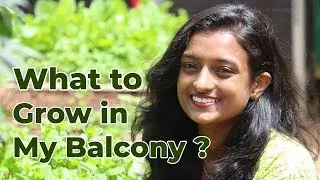 What To Grow In My Balcony ? || Know Balcony Garden Plants | Balcony Gardening