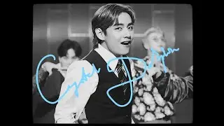 BTS // crystal dolphin