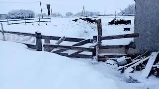 Снег .Всех с добрым утром .