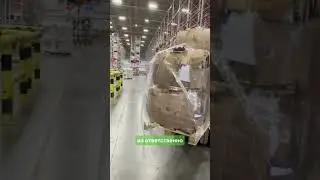 Что интересного в лесу?