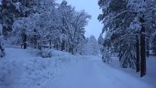 ASMR Walk WINTER WONDERLAND 4K One Hour