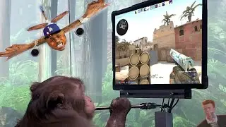 monke.