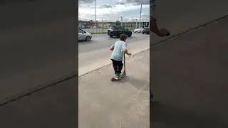 D whip 
