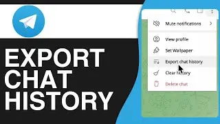 How To Export Telegram Chat History (2024)