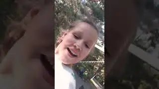 чина