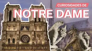 20 Interesting Facts About Notre Dame 🇫🇷 | The Most Famous Cathedral in Paris