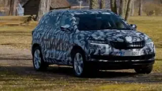 Skoda Karoq Off Road - тест - полная версия