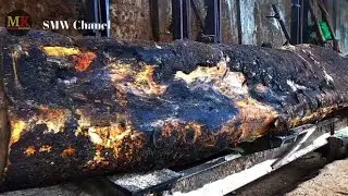 this wood has been buried for decades || and now the contents are amazing || sawmill