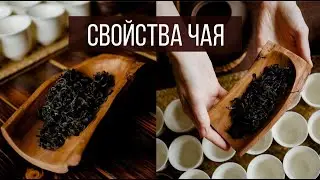 СВОЙСТВА ЧАЯ