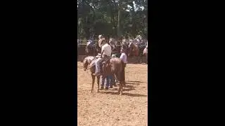 Jaripeo en Cuernos largos presentacion