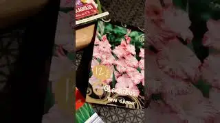ОБОЖАЮ ГЛАДИОЛУСЫ.....