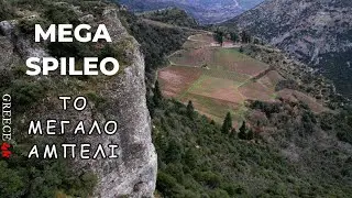 Το Μεγάλο Αμπέλι _ Μέγα Σπήλαιο _ Καλάβρυτα | Kalavrita Greece 4k