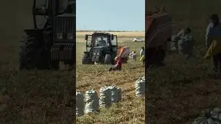 телеграм kambulatof