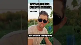 Easily identify plants via app | Here's how!