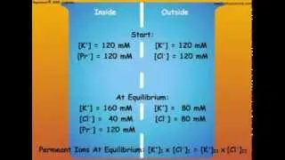 4. Nernst Equation and Calculations of Membrane Potentials