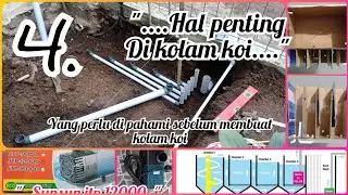 4 HAL PENTING DALAM KOLAM KOI 