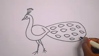 How to draw peacock drawing easy step for beginners