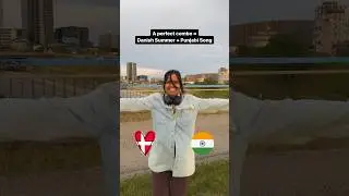 Danish Summer Vibes With A Punjabi Twist | Awesome Life in #denmark #shorts #dance