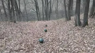 Арбузные гонки