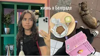 Белградский влог I пробежала 10К, закрываем сезон бассейнов, библиотека в баре