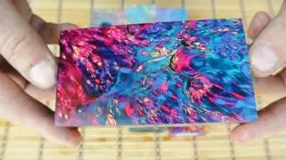 Стабилизированный кап клена -8.