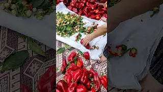 Kırmızı Salçalık Biber 🔥🌶️🔥