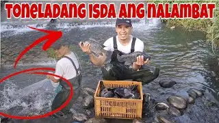 Nabigla ako sa gulat sa dami ng isda pagkahagis ko ng lambat o tabukol
