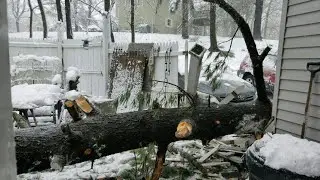 Ветром снесло дерево и ушатало крышу дома