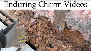 Repairing Wall Framing Which Turned To Dirt