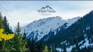 Sunday on Wild Side. Sony A6000 | kit lens 55-210mm