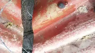 limpieza de techado por problemas de aves