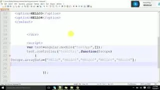 How To Use Ngoptions in Angular JS