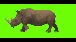 Gainda 🦏 Green Screen Background |  Rhinoceros Green Screen Video | Cartoon Green Screen