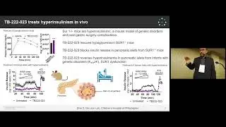 Synthetic DNA Technologies Enable the Discovery of G Protein-Coupled Receptor Antibody Ligands