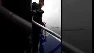 자다가잡네ㅎㅎ~~ #fishing #광어낚시 #대천제우스 #미니사무장