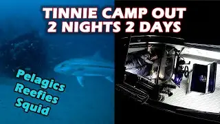 BOAT CAMPING | Catching Pelagics, Reef Fish & Squid | Underwater drone footage