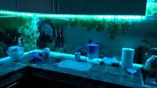 Светодиодная лента на кухонный гарнитур.