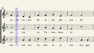 Quodlibet de La Lluvia