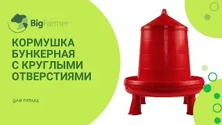 Кормушка бункерная для кур, пластик с решеткой и круглыми отверстиями