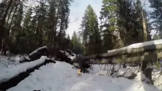 Приколы 2017