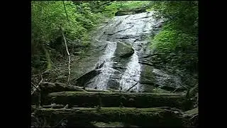 Chestnut Ridge Heritage Falls