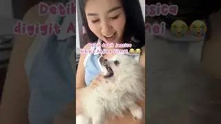 I'M SO AFRAID OF DOGS🦮😭