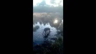 Filtraciones en la Planta de Agua Concepcion del Uruguay E.R. 2020