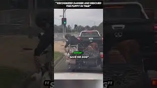 Nobody Noticed the Puppy Was in Danger😳