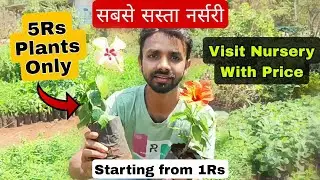 सस्ते पौधे वाली नर्सरी का Bussiness || Visit plants nursery with price || plants grown in nurseries